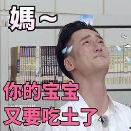娱乐吃瓜表情图片,笑翻你的表情瞬间
