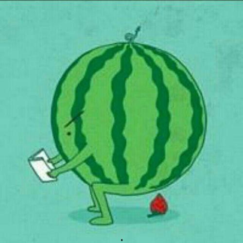 娱乐吃瓜酱的贴纸是什么,一场视觉盛宴的狂欢